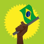 Brazil Flag N18