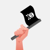 Pirate Flag N24