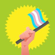 sexuality flag N12