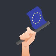 Europe Flag N4