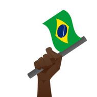 Brazil Flag N19