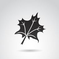 Autumn Leaf Icon N2