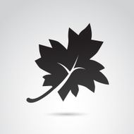 Autumn Leaf Icon N3