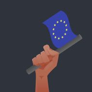 Europe Flag N5