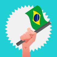 Brazil Flag N20