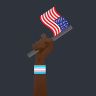 USA Flag &amp; Sexuality symbol N2