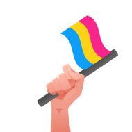sexuality flag N22