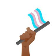 sexuality flag N26