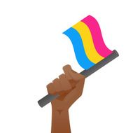 sexuality flag N27