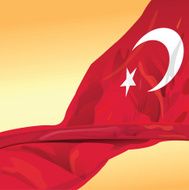 Republic of Turkey flag wave in the wind win