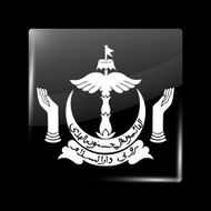 Brunei Coat of Arms Glassy Icon Square Shape
