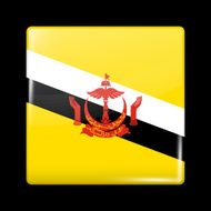 Flag of Brunei Glassy Icon Square Shape