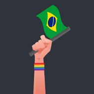 brazil flag &amp; Sexuality symbol illustration