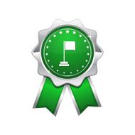 Flag Sign Green Vector Icon Design
