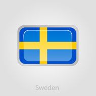 Sweden flag button vector illustration N2
