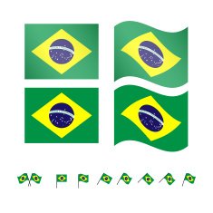 Brazil Flags 2
