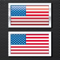 Chrome Flag USA