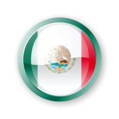 Mexico Flag Icon