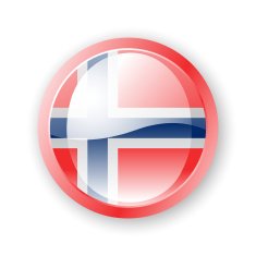 Norwegian Flag Icon