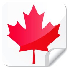 Sticky Flags N3