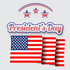American Flag Vector N5
