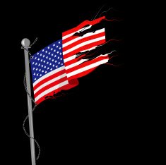 Old American Flag N2