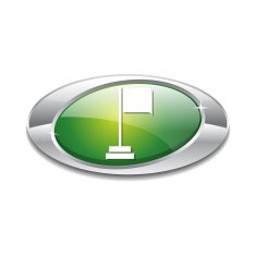 Flag Sign Green Vector Icon Button