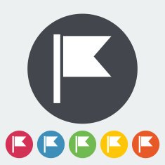 Flag single flat icon
