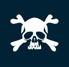 Pirate Flag N21