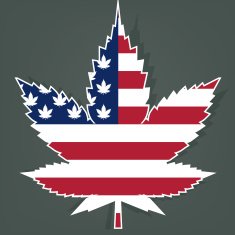 Marijuana leaf with the USA flag Vector
