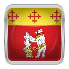 Flag of Warwickshire N4