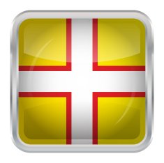 Flag of Dorset N5