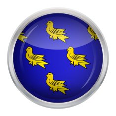 Flag of Sussex N6