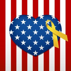 Patriotic Heart N3