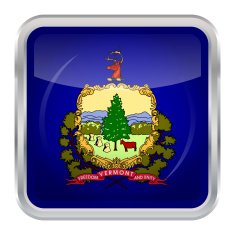 Flag of Vermont N3