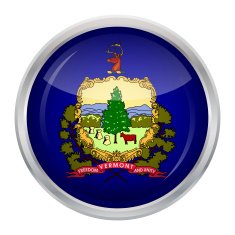 Flag of Vermont N4