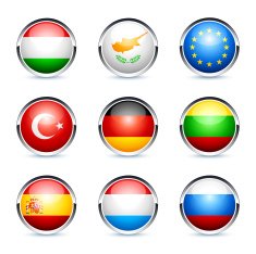 Flags icon