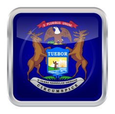 Flag of Michigan N2
