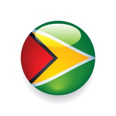 World Flag Button Guyana