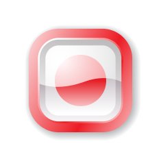 Japan Flag Icon N2