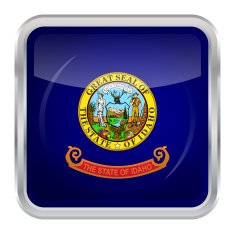 Flag of Idaho N4