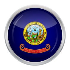Flag of Idaho N5