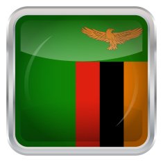 Flag of Zambia N3