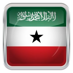 Flag of Somaliland N3