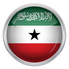 Flag of Somaliland N4