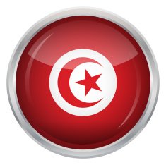 Glossy Button - Flag of Tunisia N3