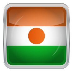 Glossy Button - Flag of Niger N3