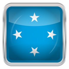 Glossy Button - Flag of Micronesia N3