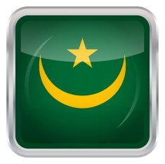 Glossy Button - Flag of Mauritania N2