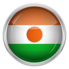 Glossy Button - Flag of Niger N4